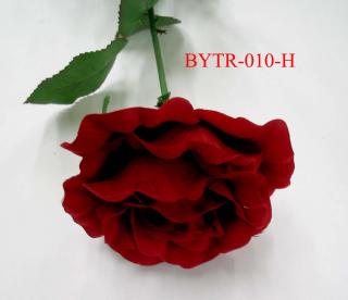 BYTR-010-H