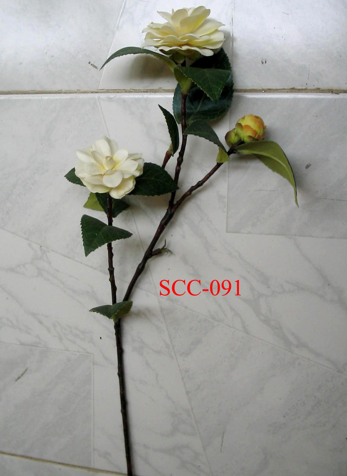 SCC-091